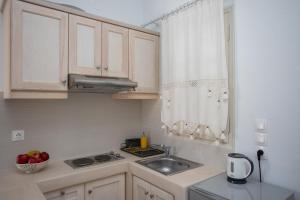 A kitchen or kitchenette at Pansion Katerina