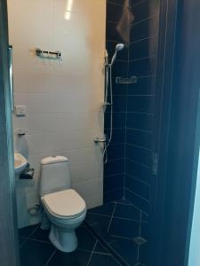 La salle de bains est pourvue d'une douche et de toilettes. dans l'établissement Cottage Igloo Bakuriani, à Bakuriani
