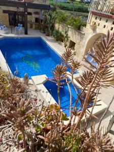 a blue swimming pool in a yard with plants at Warda Guest House in Xewkija