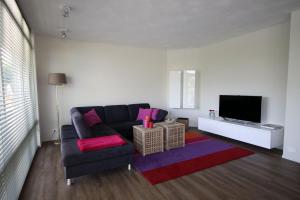 sala de estar con sofá y TV en Swarte-Sluys en Zwartsluis