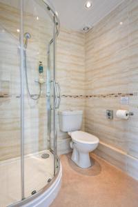 a bathroom with a toilet and a shower at The Wylfa in Abersoch