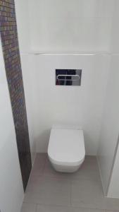 een badkamer met een wit toilet in een stal bij Calle Goya 108 in Arguineguín