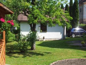 a house with a tree and a car in a yard at Ubytovanie v súkromí in Turčianske Teplice