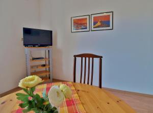 Televízia a/alebo spoločenská miestnosť v ubytovaní Apartments Biserka