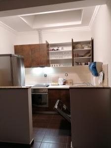 Η κουζίνα ή μικρή κουζίνα στο Penthouse Park