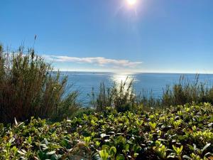 Fotografia z galérie ubytovania Punta Del Faro v destinácii Torrox Costa