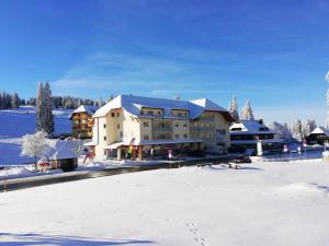 Blackforest Lounge direkt an der Skipiste, Ski in & Ski out, Skischule im Haus, Startpunkt für Wanderungen v zimě