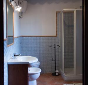 e bagno con lavandino, servizi igienici e doccia. di Agriturismo Monte Alzato a Capalbio