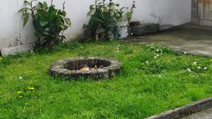 eine Feuerstelle im Gras im Hof in der Unterkunft Villa Victoria in Machachi