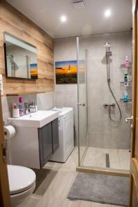 a bathroom with a shower and a sink and a toilet at Sapareva Kashta in Sapareva Banya