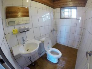 仁愛鄉的住宿－頂代格拉斯渡假莊園，一间带卫生间和水槽的浴室