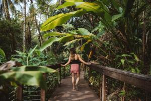 Hosté ubytování Daintree Ecolodge