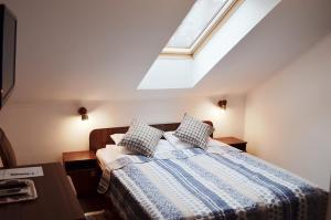 a bedroom with a bed with a skylight at Vila Andrei in Băile Olăneşti