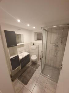a bathroom with a shower and a toilet and a sink at Ferienwohnung Häusla in Hirschaid