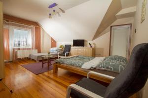 1 dormitorio con 1 cama y sala de estar en AzyLw25, en Starachowice