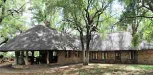 a house with a thatched roof and a tree at Sable Creek Safari Lodge in Tzaneen