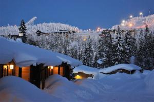 a house covered in snow at night with snow covered trees at Rukariutta Apartments in Ruka
