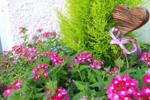 a garden with pink flowers and a wooden heart at Schenna Garni Eden Bed & Breakfast in Schenna