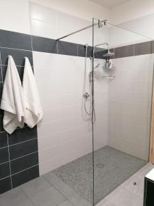 eine Dusche mit Glastür im Bad in der Unterkunft Apartmán Frymburk-Lipno G10 in Frymburk