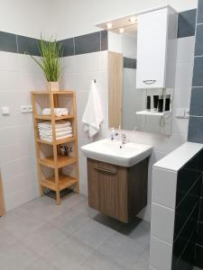 ein Badezimmer mit einem Waschbecken und einem Regal mit Handtüchern in der Unterkunft Apartmán Frymburk-Lipno G10 in Frymburk