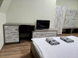 TV a/nebo společenská místnost v ubytování Budget Hotel Ekotel