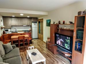a living room with a couch and a tv and a kitchen at Bonito Apartamento en Ainsa in Aínsa