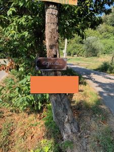 Kép Agula Relais appartamento szállásáról Pugnanóban a galériában
