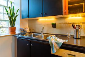 A kitchen or kitchenette at Lotus House