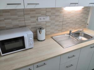 a kitchen with a sink and a microwave at Hotel Marianeum in Prague
