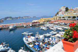 a group of boats docked in a marina with buildings at Maridea - La Darsena in Ponza +25 photos