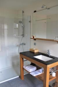 a bathroom with a sink and a shower at Hostellerie De Biek in Moorsel