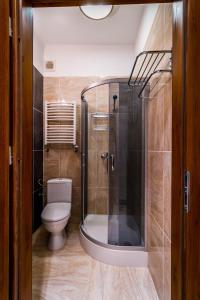 a bathroom with a toilet and a glass shower at Apartment Studio BOSSANOVA in Bydgoszcz