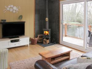 a living room with a fireplace and a television at Willow River Lodge in Craven Arms