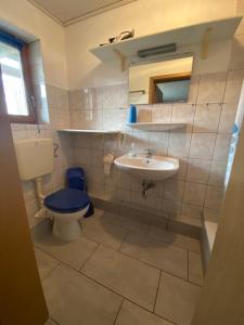a bathroom with a toilet and a sink at Holzhaus "Miri" in Pirna