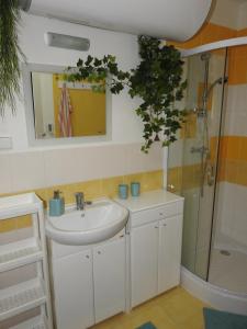 uma casa de banho com um lavatório e um chuveiro em Sofia Veterník C em Kremnica