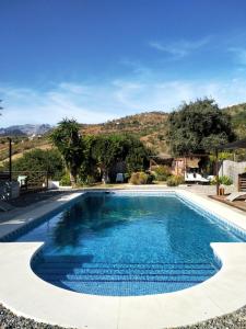 托洛斯的住宿－The African House，庭院里的一个蓝色海水游泳池