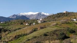 Príroda v okolí vily