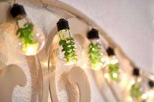 a row of lights with green plants in them at My Granada Garden - Apartamento Orquídea in Granada