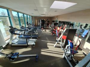 Fitness centrum a/nebo fitness zařízení v ubytování Toila Spa Hotel