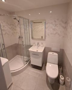 een badkamer met een toilet, een douche en een wastafel bij Alejas Lux Apartment in Liepāja