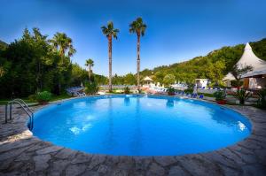 a large swimming pool with palm trees in the background at Grand Hotel Delle Terme in Terme Luigiane