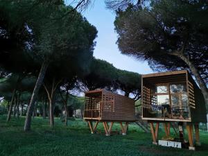 dos casas arboladas en un campo con árboles en miCielo - Baumhäuser, en Vejer de la Frontera
