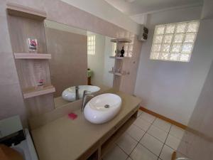 a bathroom with a sink and a mirror at Appartement & Studio Lolla in Pereybere