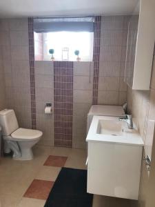 Notodden Sentrum Apartment NO 3 tesisinde bir banyo