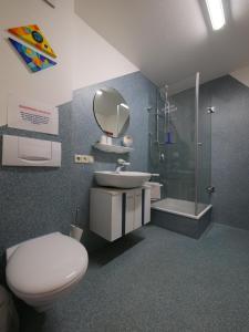 フリードリヒスハーフェンにあるHöhlerhofのバスルーム(トイレ、洗面台、シャワー付)