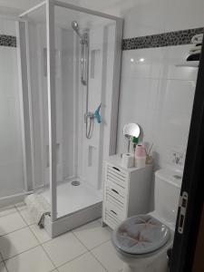 a white bathroom with a shower and a toilet at Le Clos Doux in Céaux