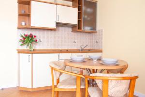 Kuchyň nebo kuchyňský kout v ubytování AL-DOM apartamenty Olymp Sunshine