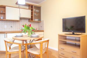 Kuchyň nebo kuchyňský kout v ubytování AL-DOM apartamenty Olymp Sunshine
