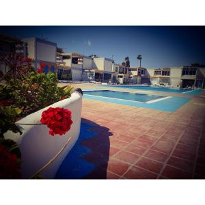 a pool with a bunch of red flowers on a wall at casa penelope in Costa Del Silencio