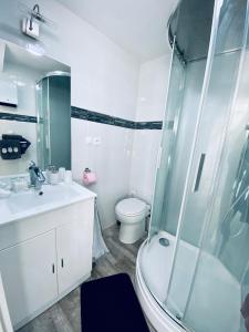 a bathroom with a shower and a sink and a toilet at Maison d'hôtes chez Aud in Dagneux